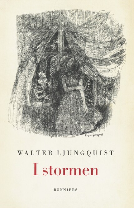 I stormen bookCoverFor
