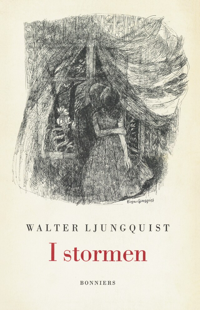 Book cover for I stormen