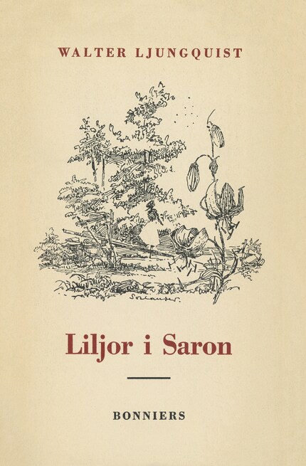 Liljor i Saron : (kanske inte en roman) bookCoverFor