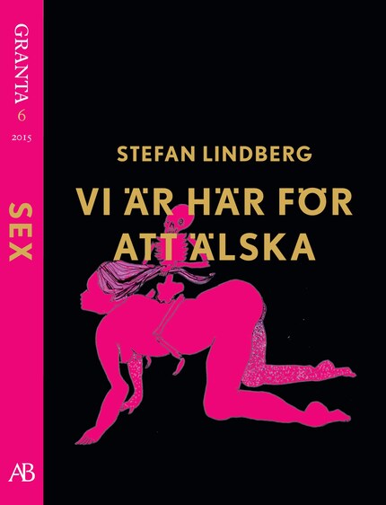 Vi är här för att älska - en e-singel ur Granta #6 bookCoverFor
