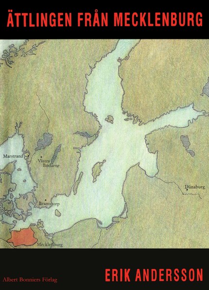 Ättlingen från Mecklenburg : berättelser bookCoverFor
