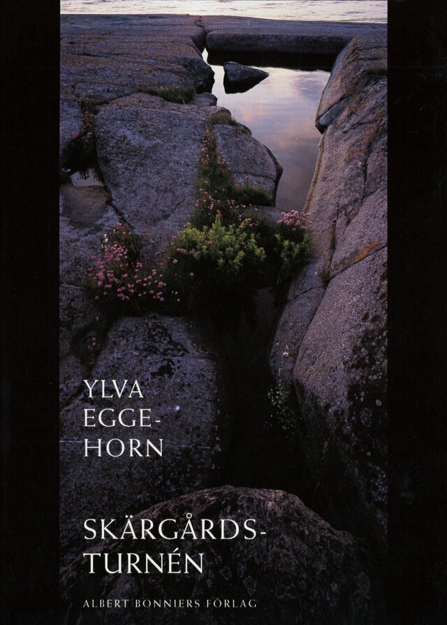 Book cover for Skärgårdsturnén