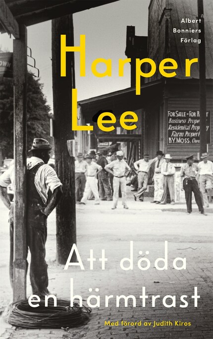 Att döda en härmtrast bookCoverFor