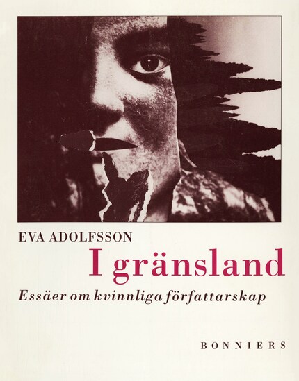 I gränsland : essäer om kvinnliga författarskap bookCoverFor