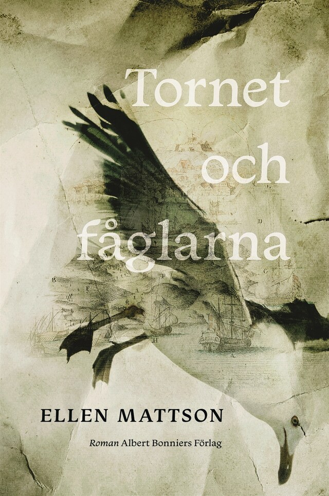 Buchcover für Tornet och fåglarna