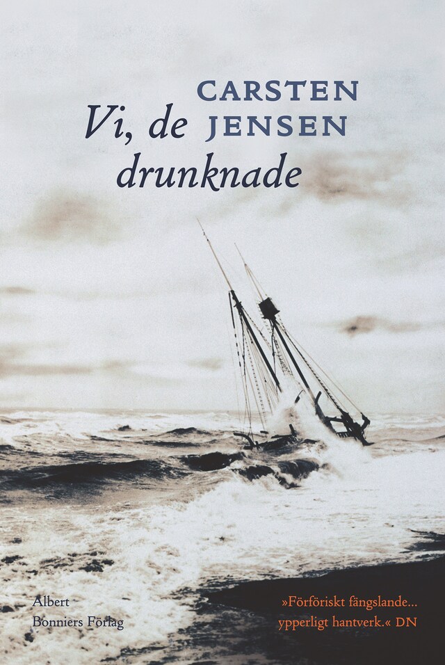 Copertina del libro per Vi, de drunknade