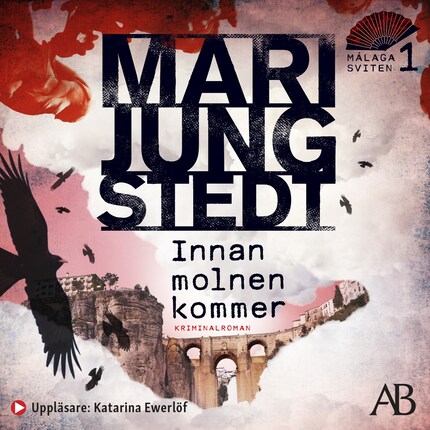 Innan molnen kommer bookCoverFor