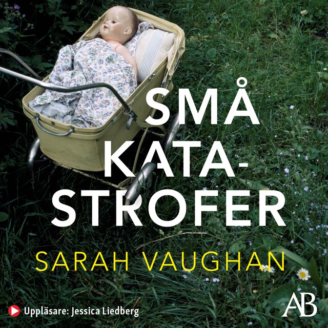 Okładka książki dla Små katastrofer