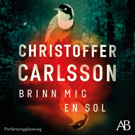 Brinn mig en sol bookCoverFor