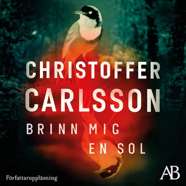 Book cover for Brinn mig en sol