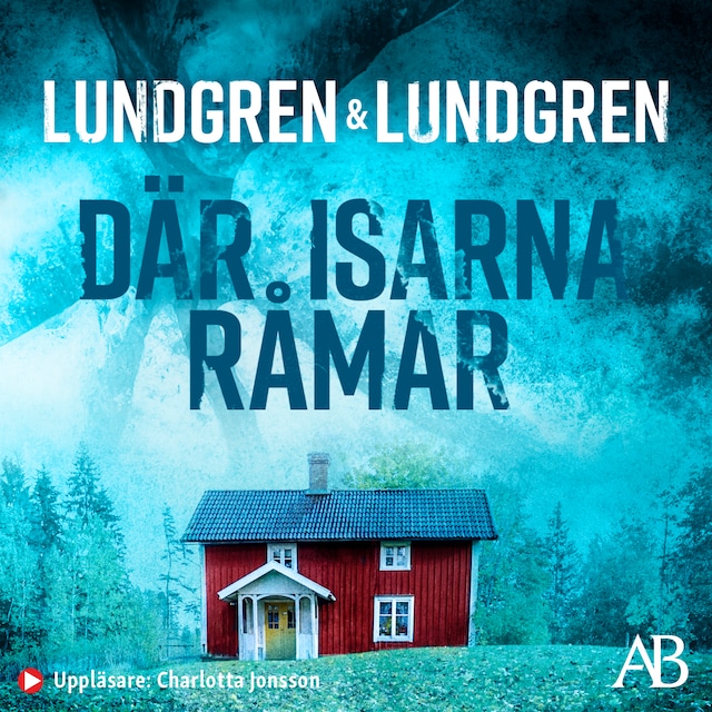 Buchcover für Där isarna råmar