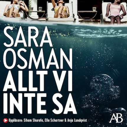 Allt vi inte sa bookCoverFor