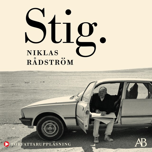 Book cover for Stig.