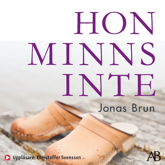 Book cover for Hon minns inte