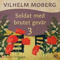 Soldat med brutet gevär 3 : Sanningens kunskap: 1915-1918