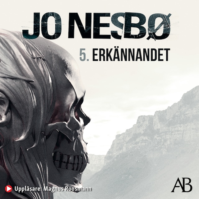 Book cover for Erkännandet