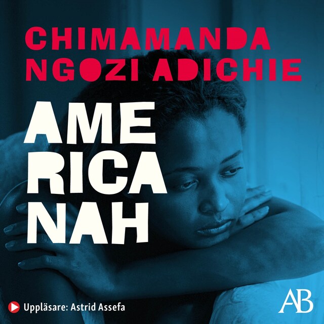 Book cover for Americanah