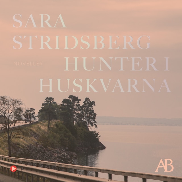 Buchcover für Hunter i Huskvarna