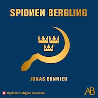 Spionen Bergling