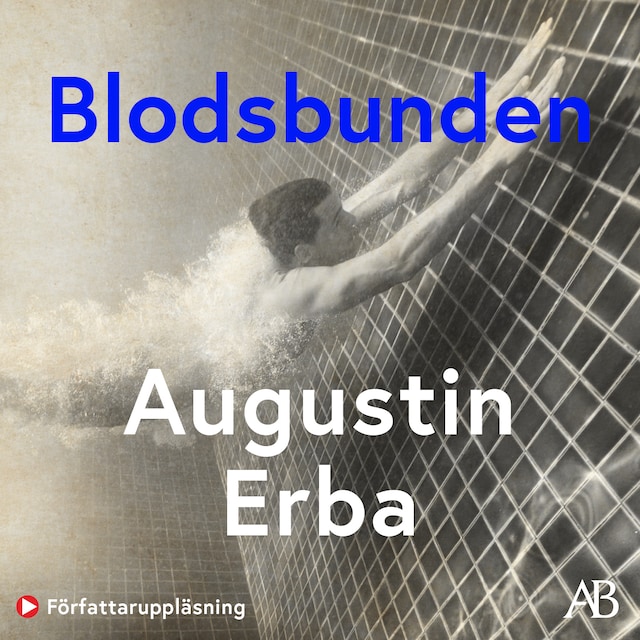 Book cover for Blodsbunden
