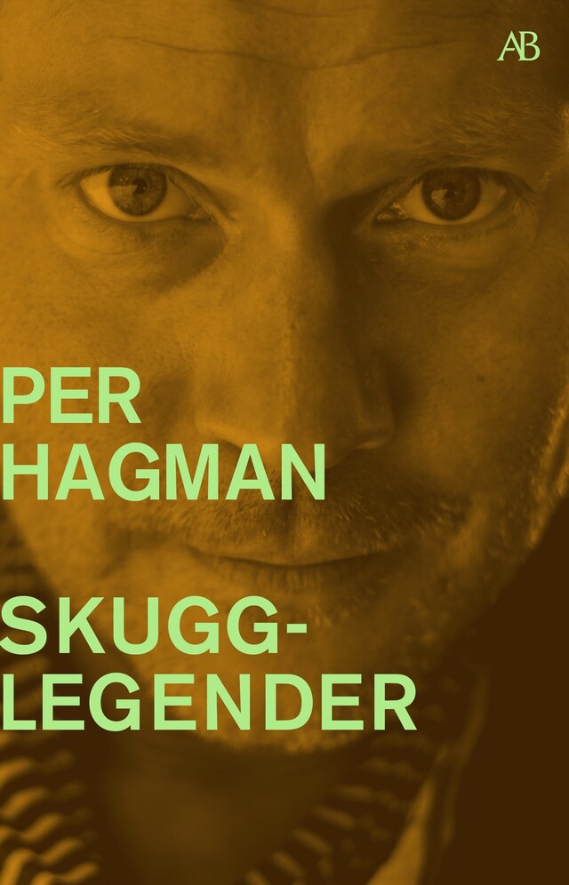 Book cover for Skugglegender