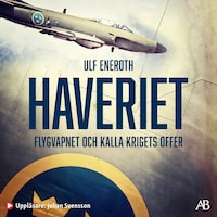 Haveriet : flygvapnet och kalla krigets offer