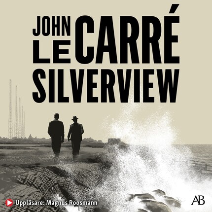 Silverview bookCoverFor