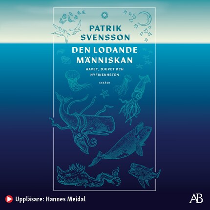 Den lodande människan : havet, djupet och nyfikenheten bookCoverFor