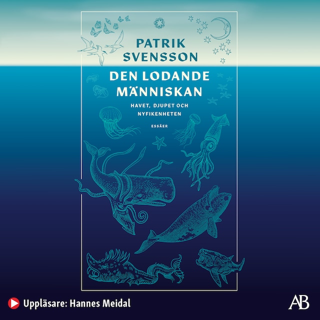 Buchcover für Den lodande människan : havet, djupet och nyfikenheten