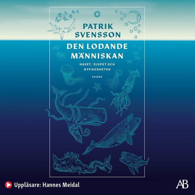 Book cover for Den lodande människan : havet, djupet och nyfikenheten