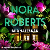 Midnattsdåd