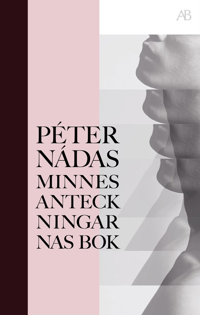 Couverture de livre pour Minnesanteckningarnas bok