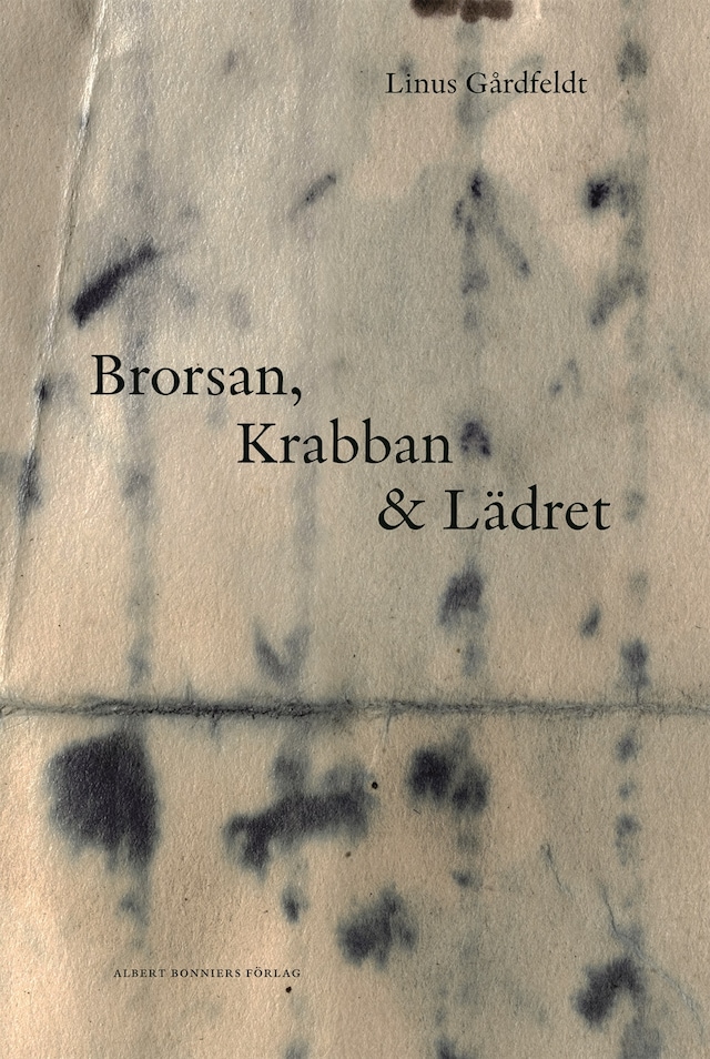 Book cover for Brorsan, Krabban och Lädret