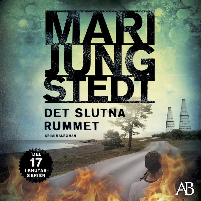 Book cover for Det slutna rummet