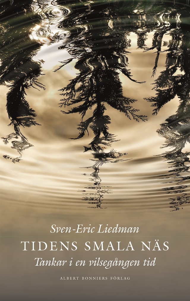 Book cover for Tidens smala näs : Tankar i en vilsegången tid