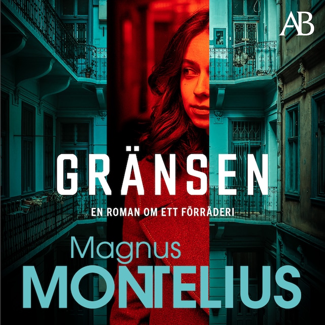 Book cover for Gränsen