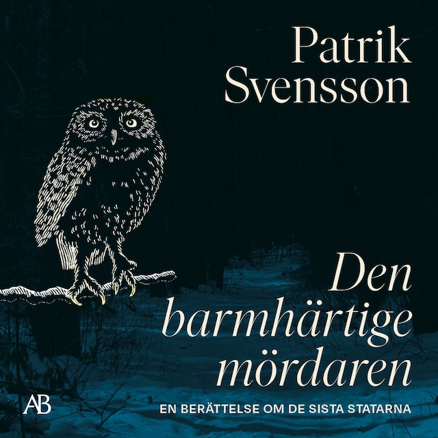 Bokomslag för Den barmhärtige mördaren