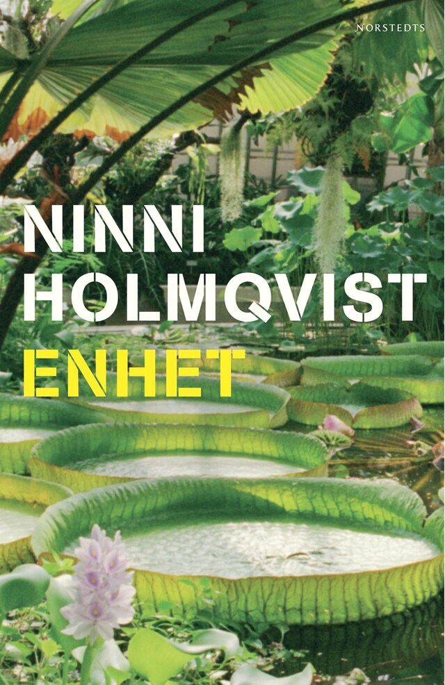 Copertina del libro per Enhet