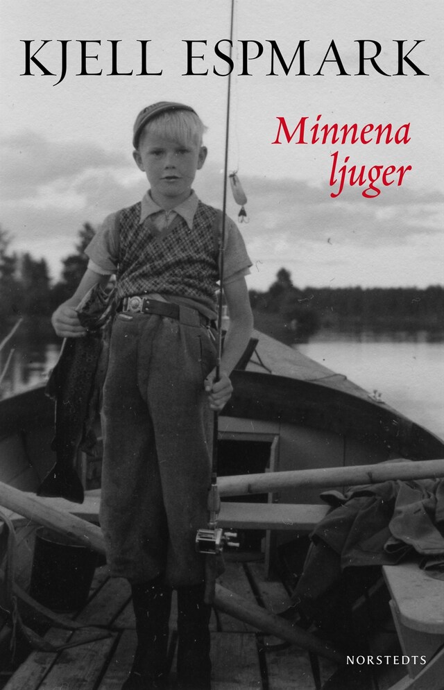 Book cover for Minnena ljuger