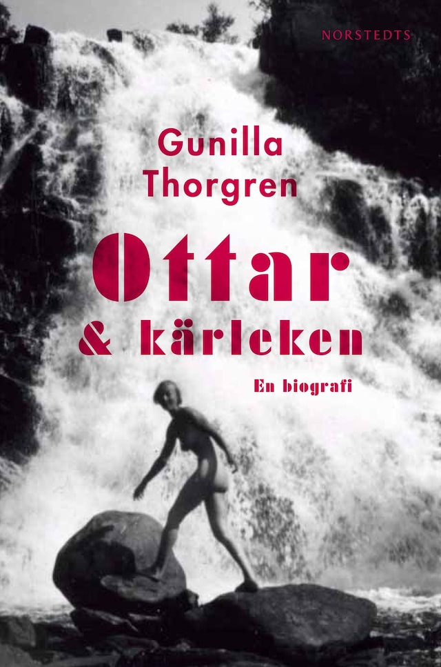 Buchcover für Ottar och kärleken