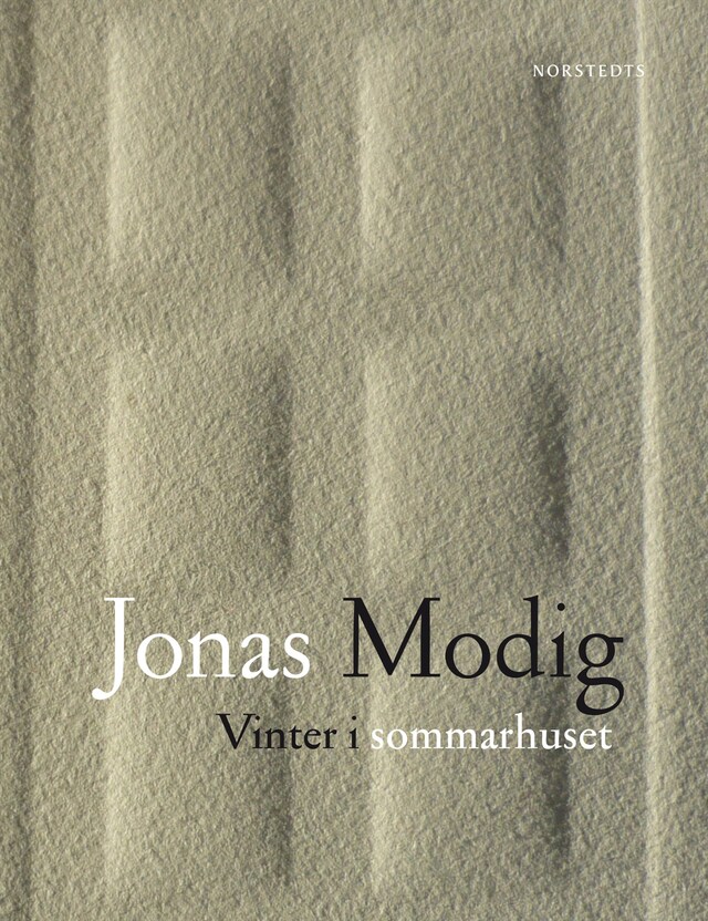 Book cover for Vinter i sommarhuset