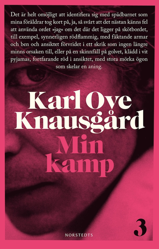 Book cover for Min kamp 3