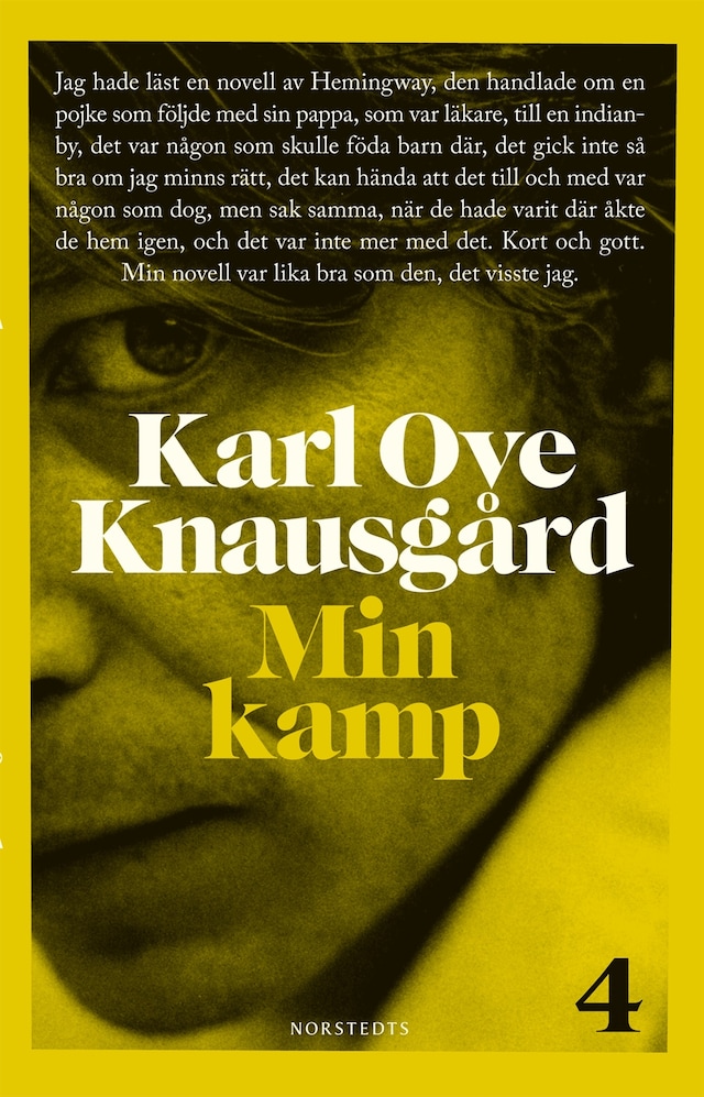 Book cover for Min kamp 4