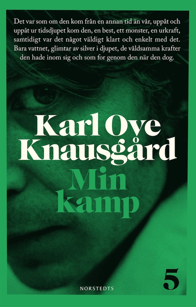 Book cover for Min kamp 5