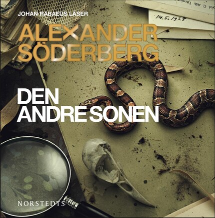 Den andre sonen bookCoverFor