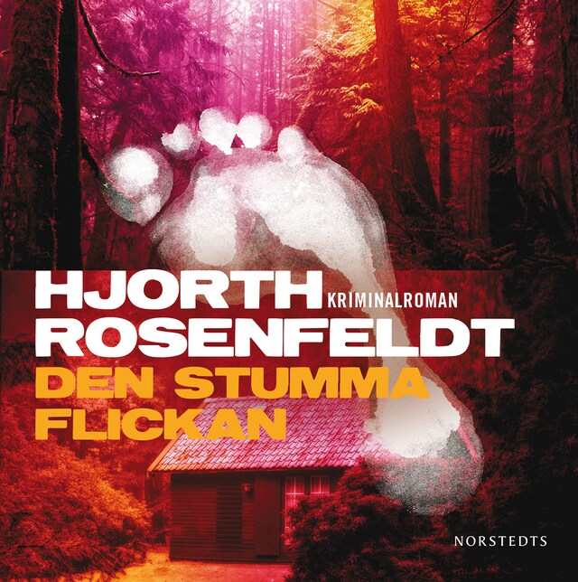 Buchcover für Den stumma flickan