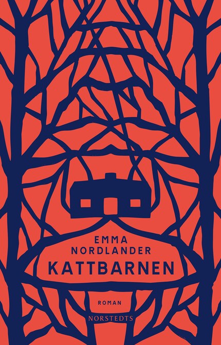 Kattbarnen bookCoverFor
