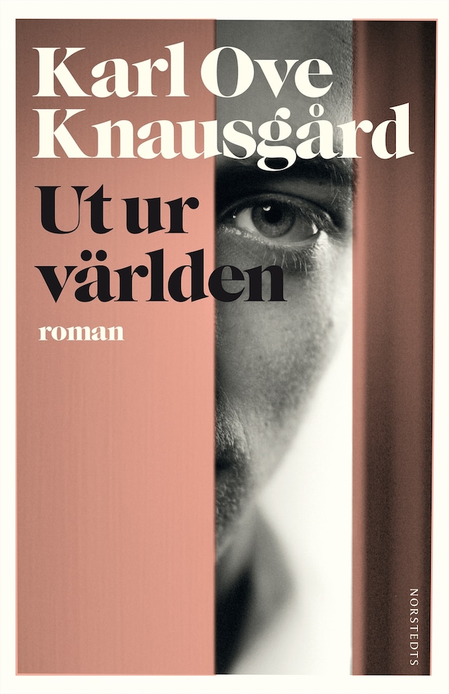 Book cover for Ut ur världen