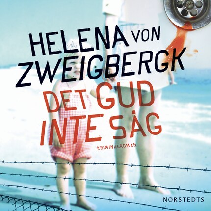 Det Gud inte såg bookCoverFor