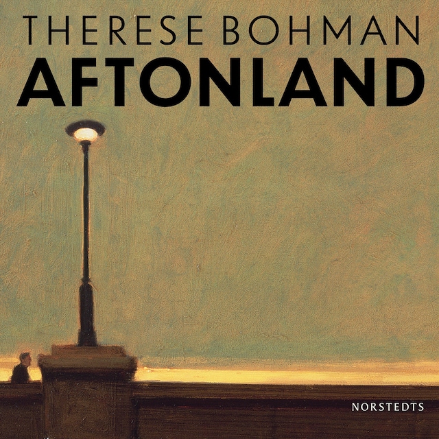Book cover for Aftonland